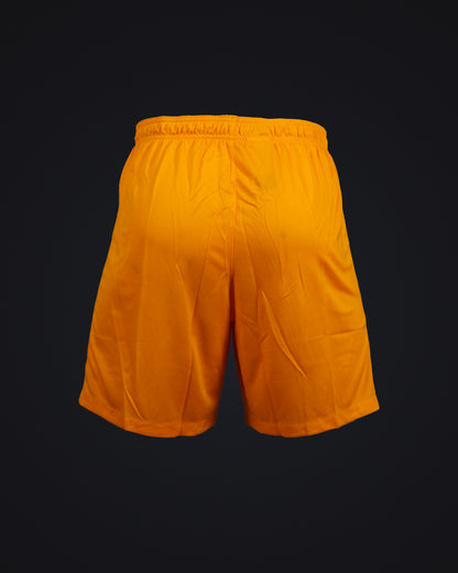Goalkeeper Shorts Yellow DF M 4