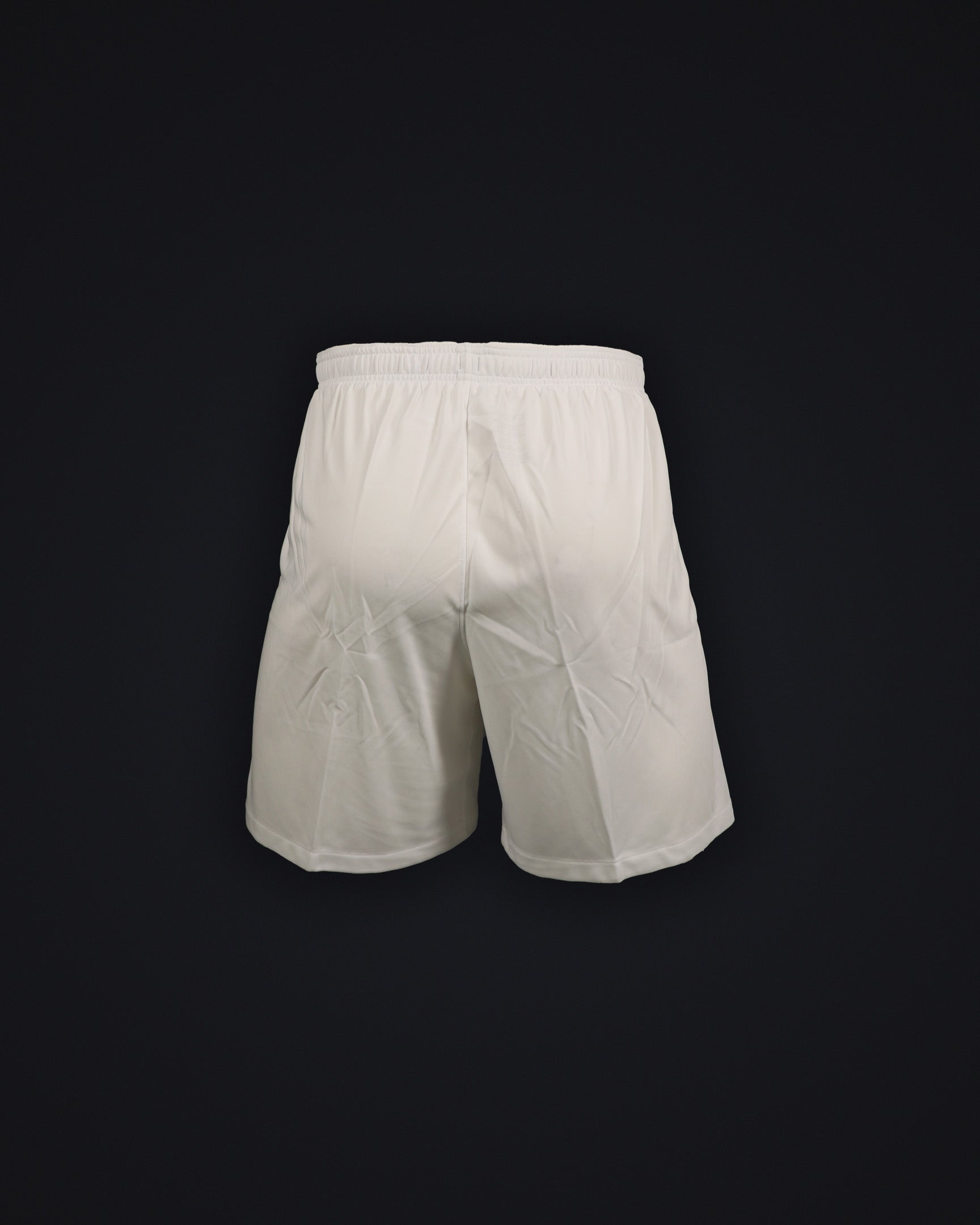 Stadium Home Shorts DF AW M 4