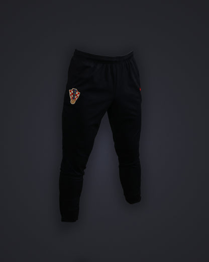 Training Pants DF ACD M 2