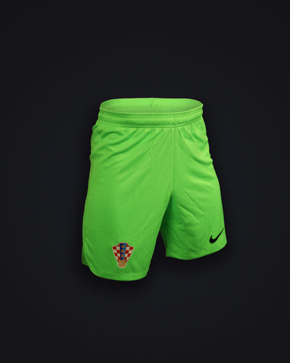 Goalkeeper Shorts Green DF M 2