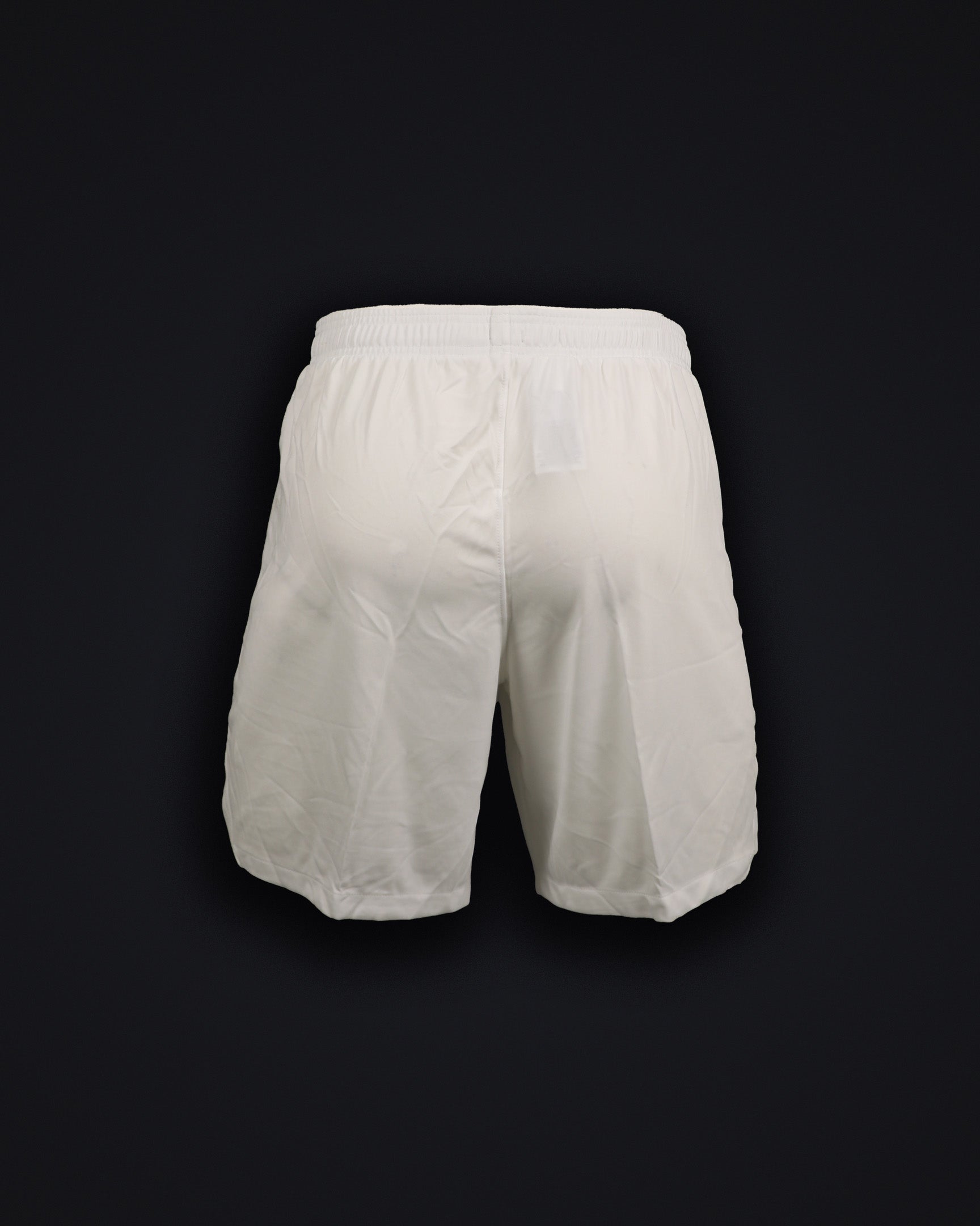 Stadium Home Shorts DF HM M 4