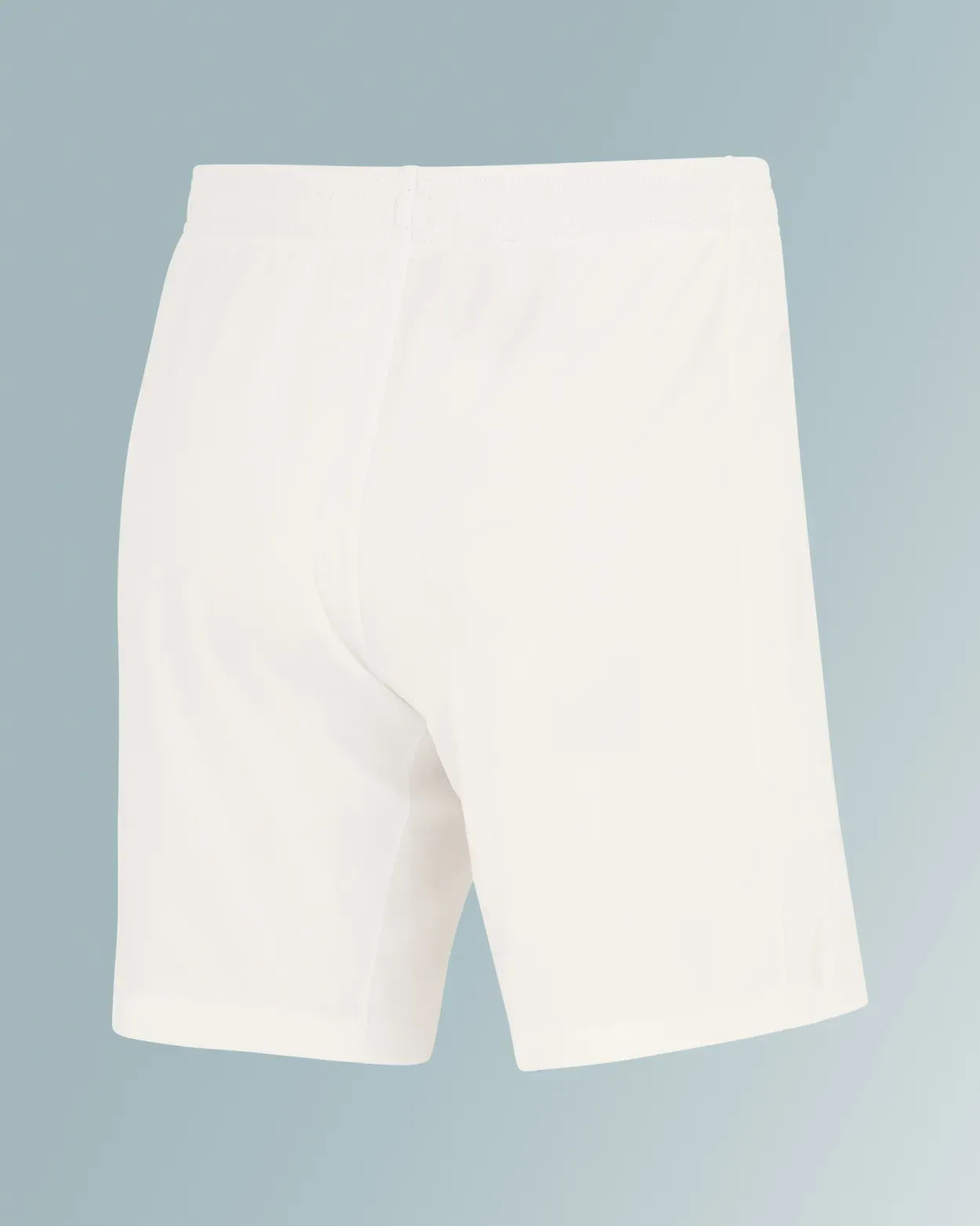 Stadium Home Shorts DF HM M 24/25