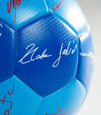Mini Ball Away