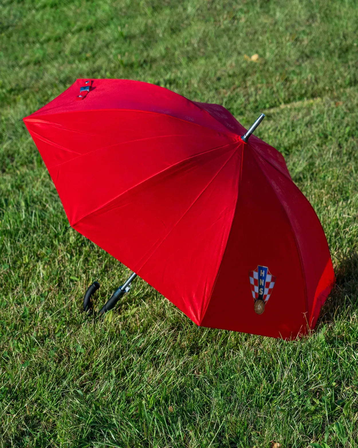 Umbrella