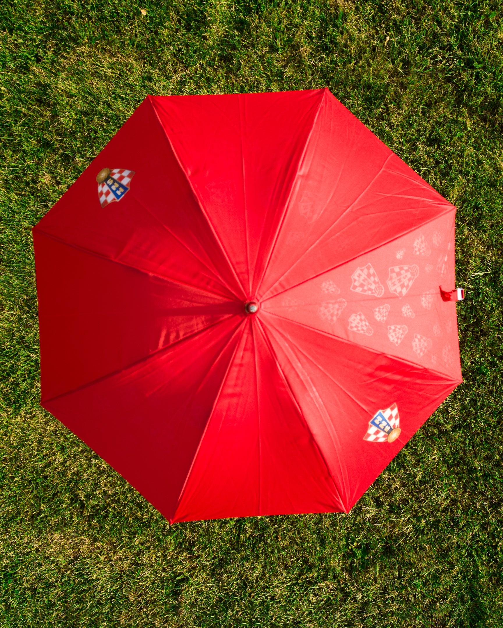 Umbrella 2