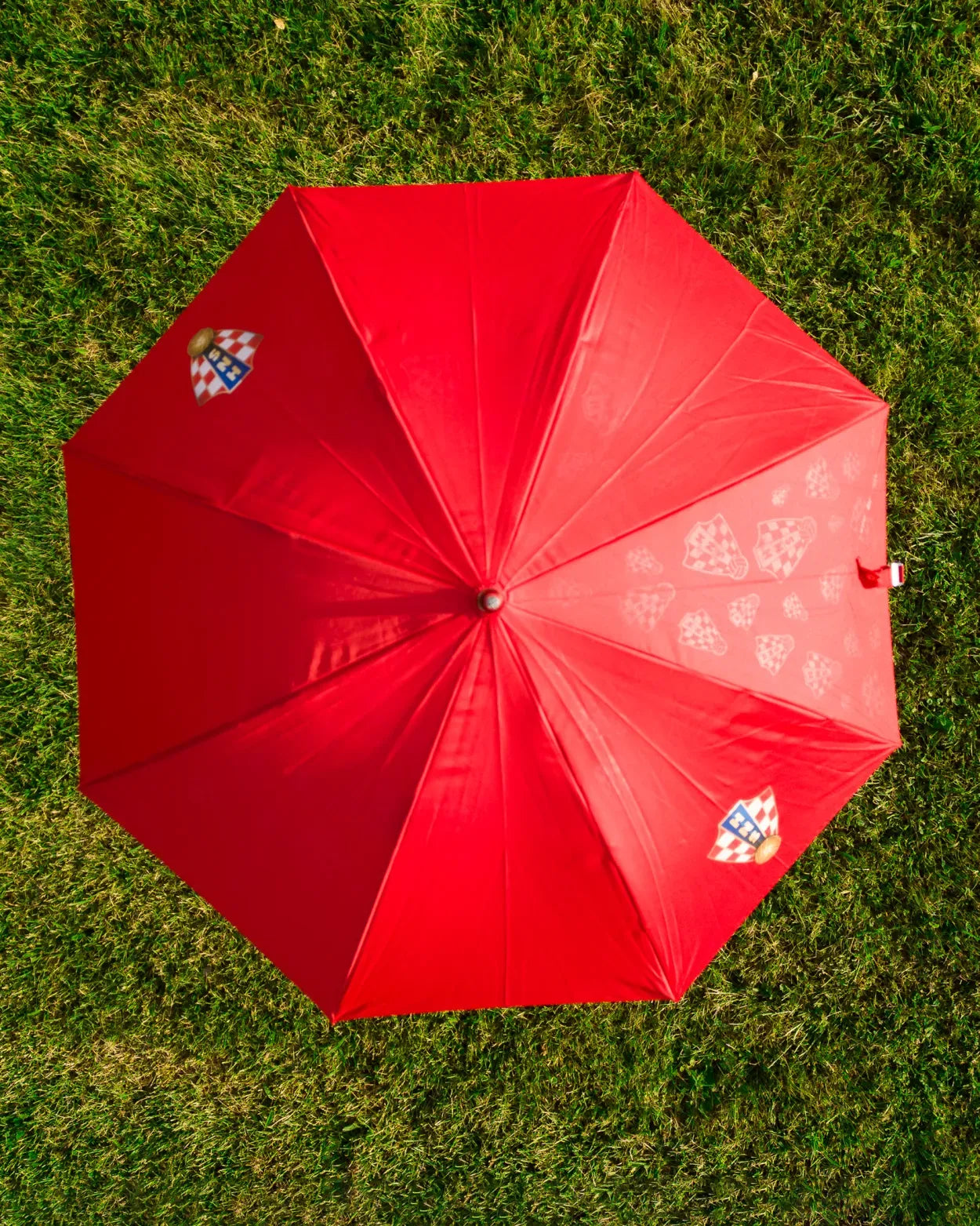 Umbrella