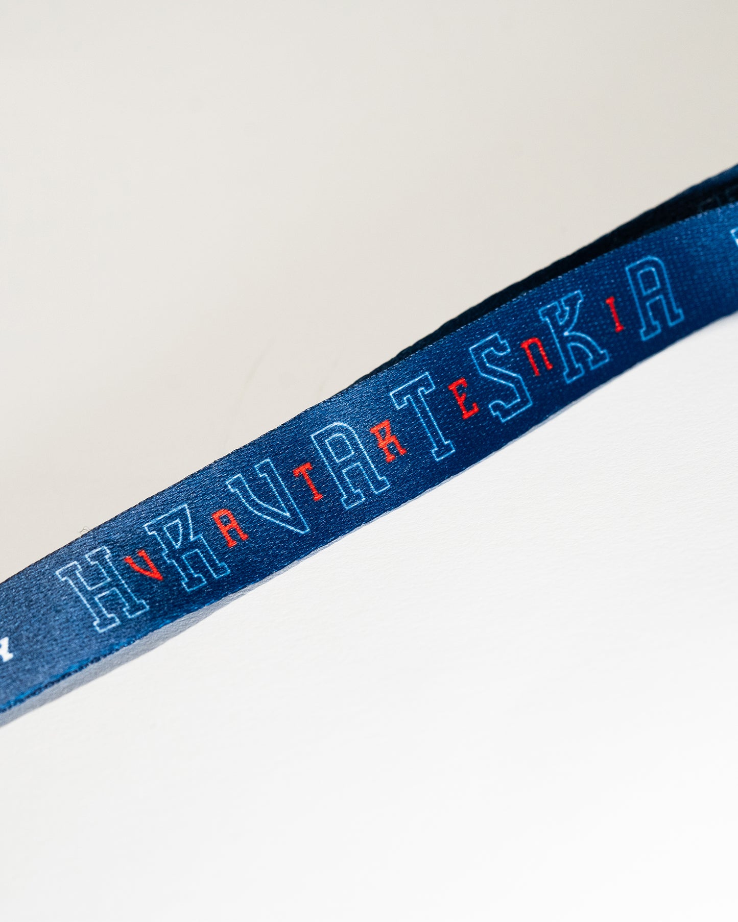 Lanyard 4