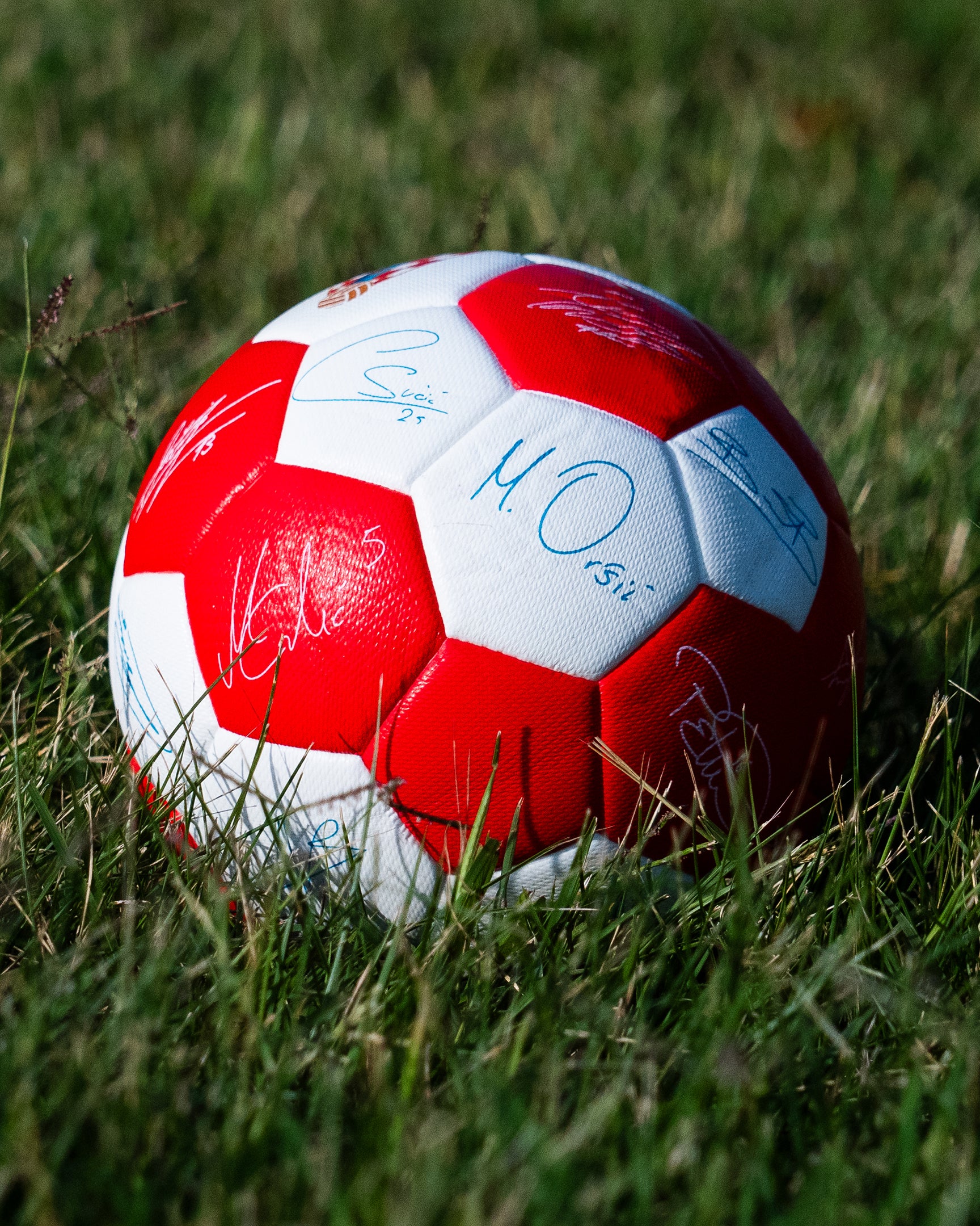 Mini Ball Home