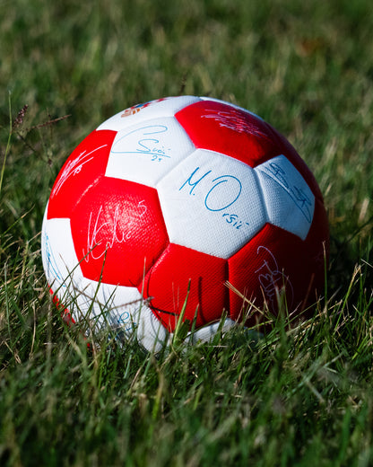 Mini Ball Home