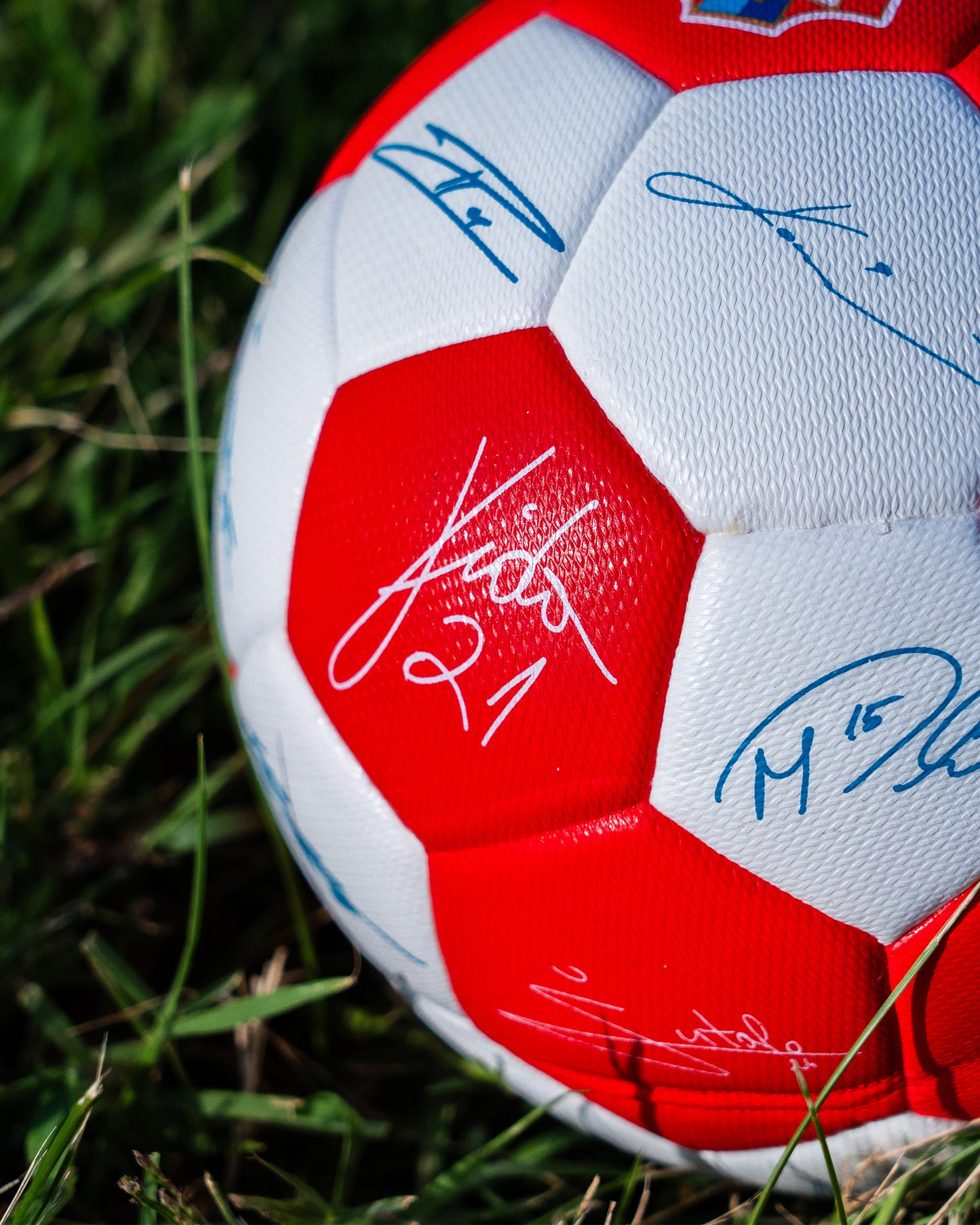 Mini Ball Home 5