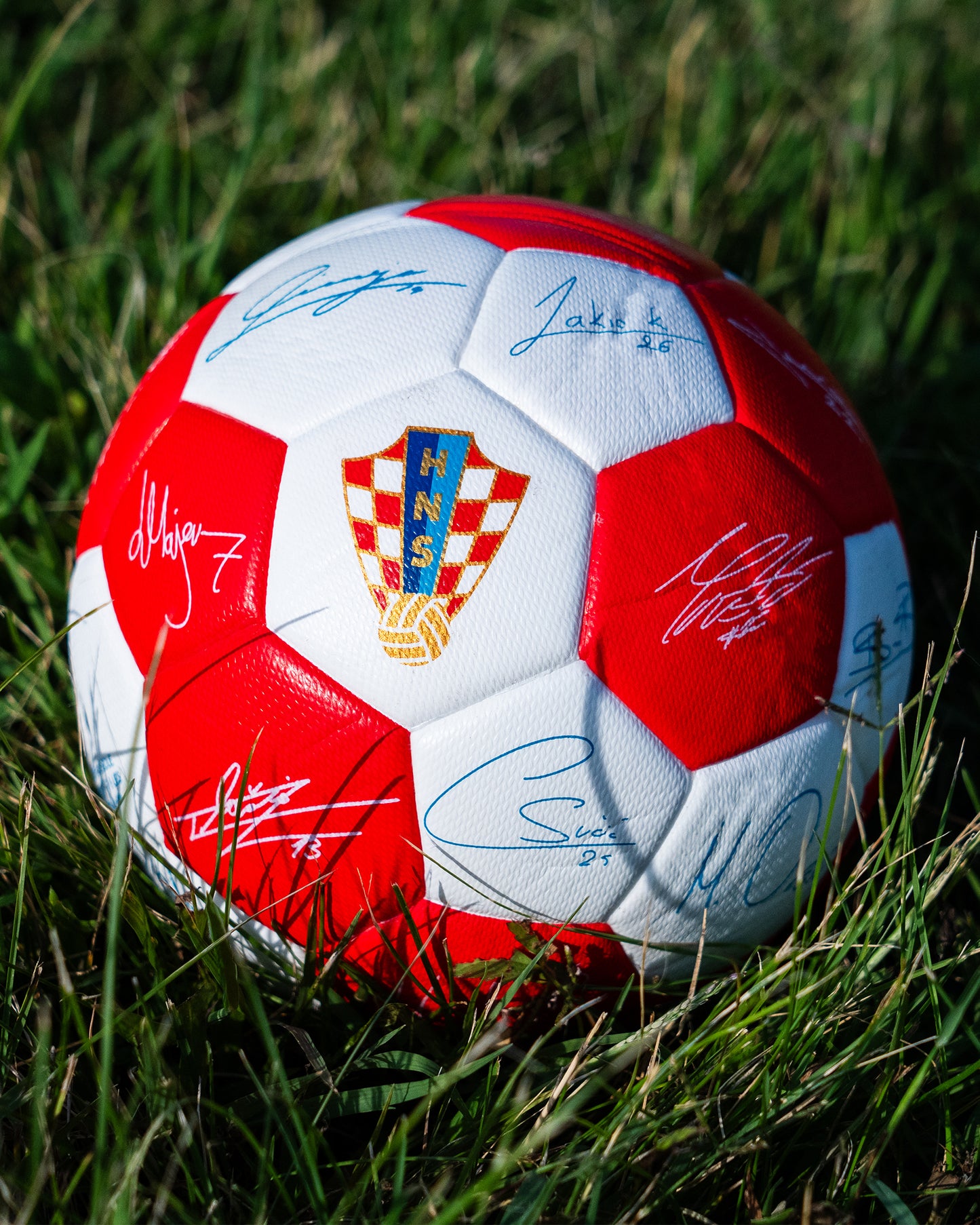 Mini Ball Home 6