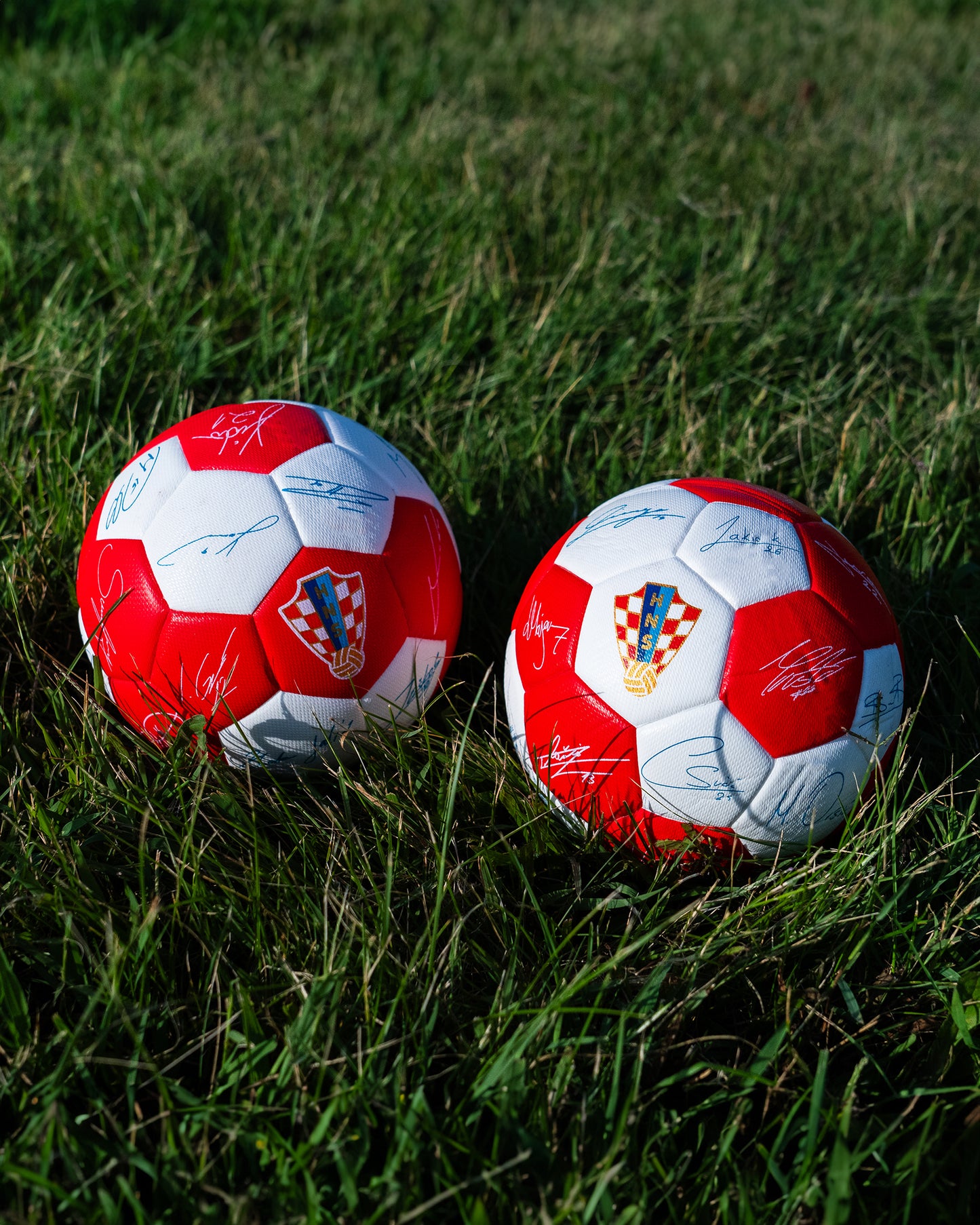 Mini Ball Home 7