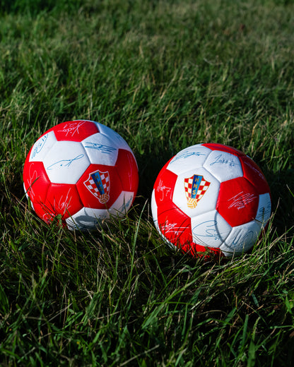 Mini Ball Home 7